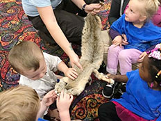 Excursions and Special Events - Crab Orchard ranger guest speaker