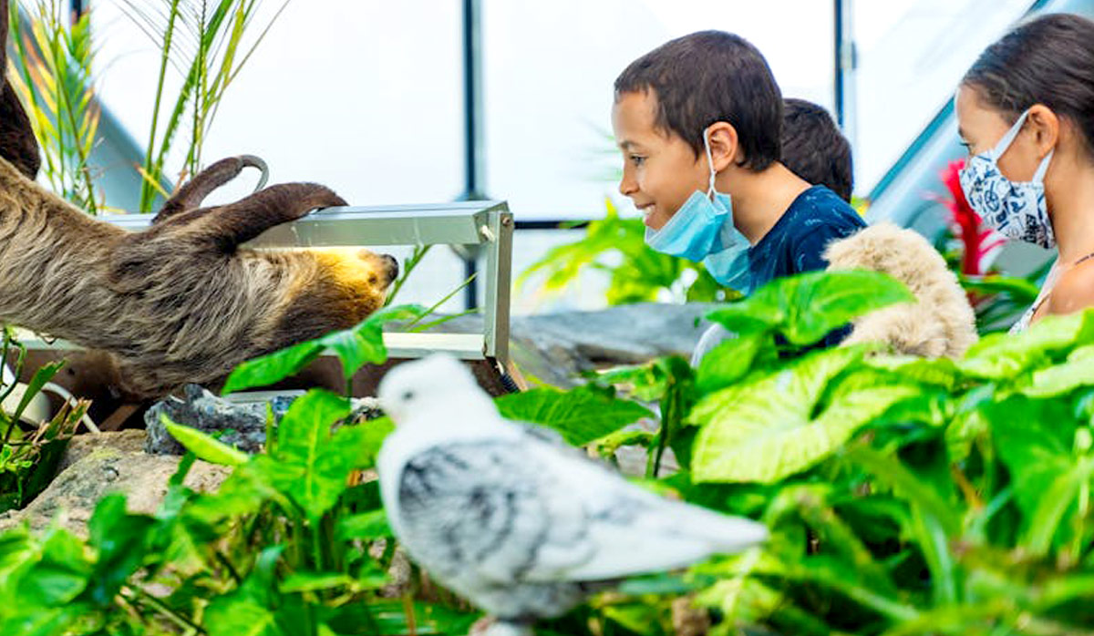 Kids at a Zoo - Robin's Nest 2024 Summer Camp Welcome To The Jungle!